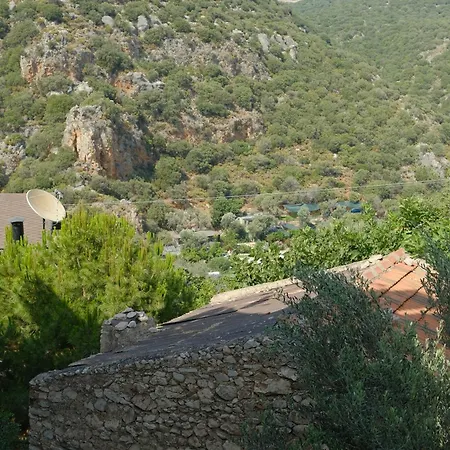 Kaktus Apart-hotel *